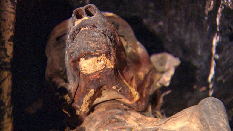 Backdrop from The Mysterious Mummified Dogs of Ancient Egypt