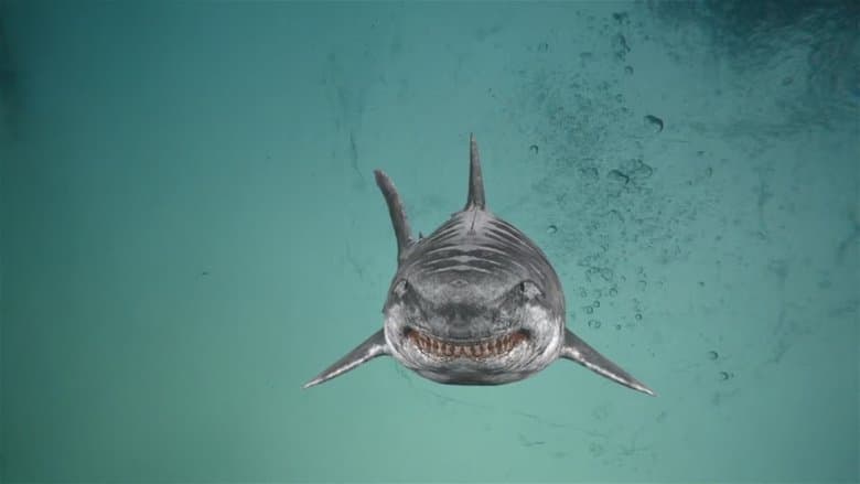 Backdrop from Jurassic Shark 2: Aquapocalypse