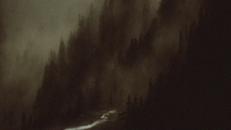 Backdrop from Sleep Has Her House