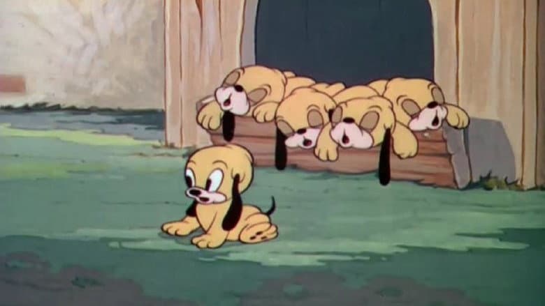 Backdrop from Pluto's Quin-puplets