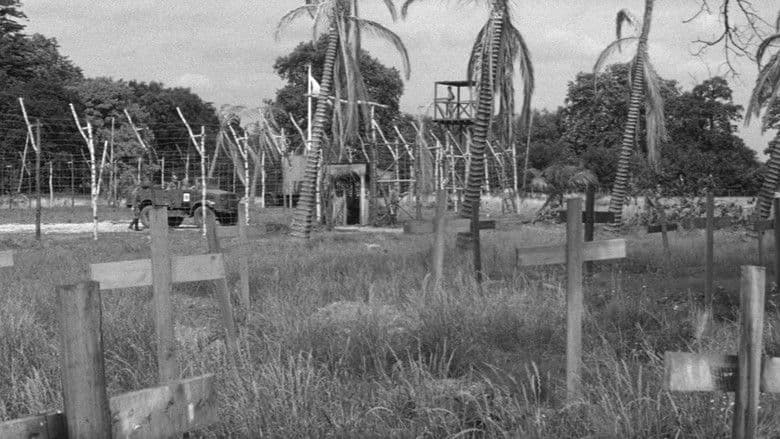 Backdrop from The Camp on Blood Island