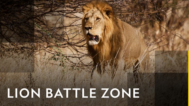 Backdrop from Lion Battle Zone
