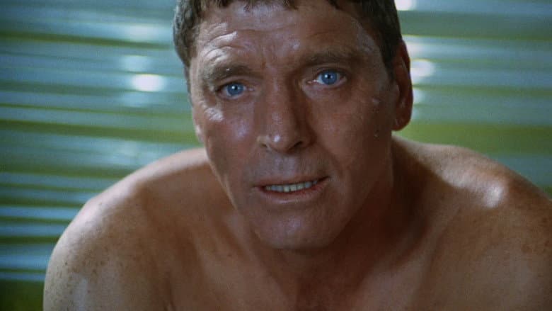 Backdrop from The Swimmer