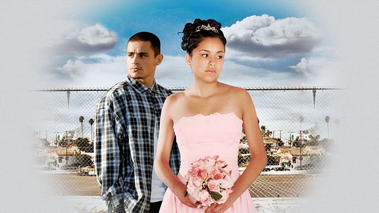 Backdrop from Quinceañera
