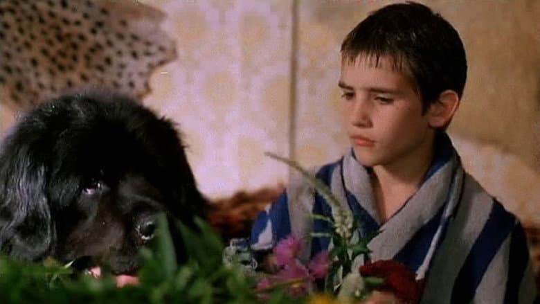 Backdrop from The Boy with the Big Black Dog