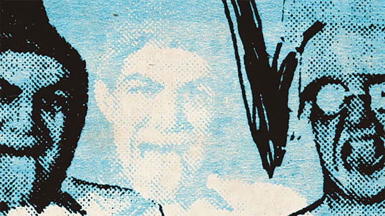 Backdrop from Ween: At the Cat's Cradle, 1992