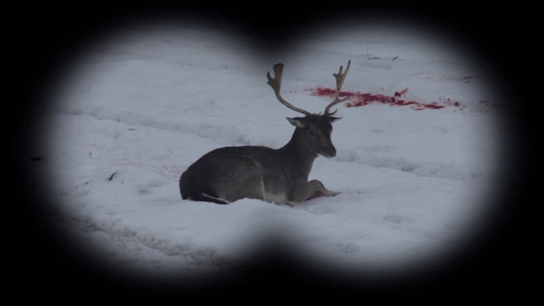 Backdrop from Long Live Hunting!