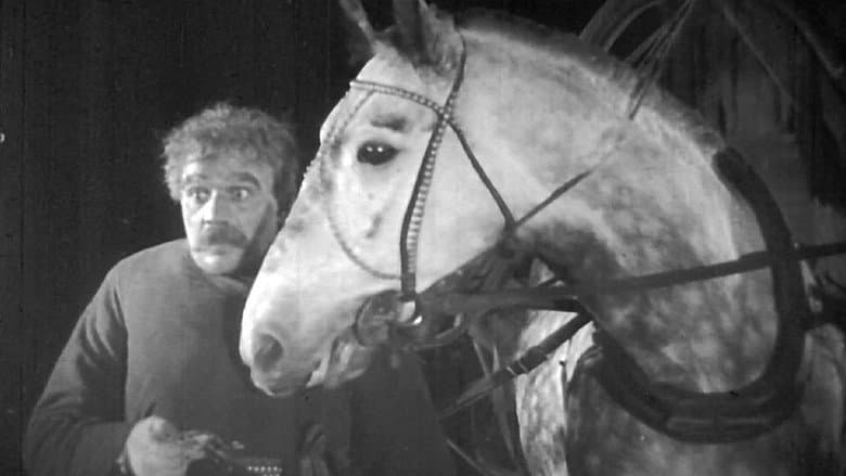 Backdrop from Night Coachman