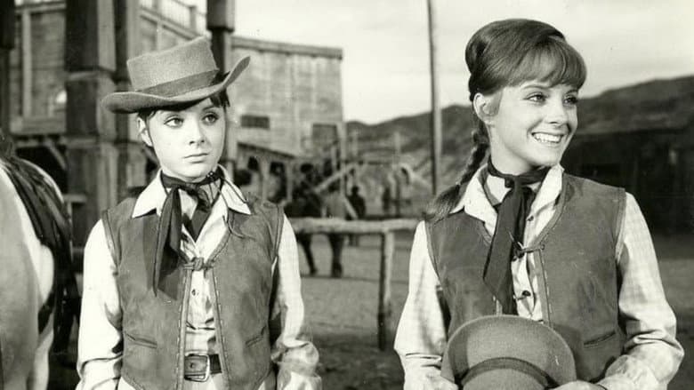 Backdrop from Two Guns for Two Twins