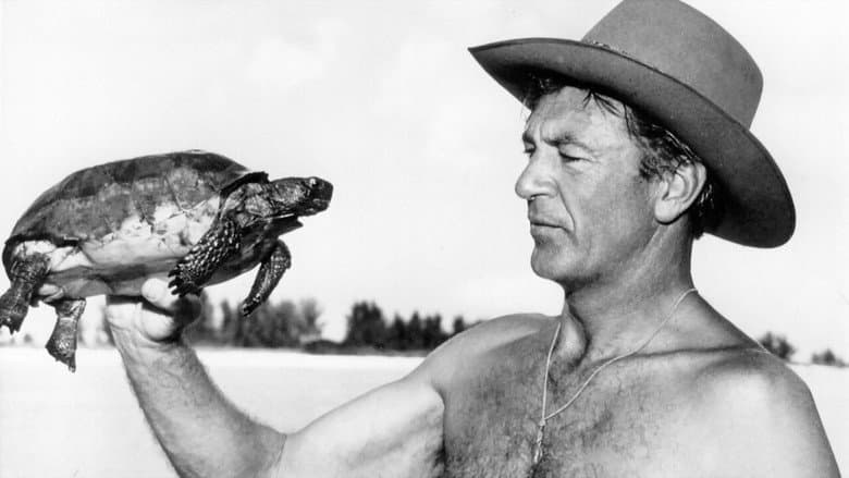 Backdrop from Irrésistible Gary Cooper