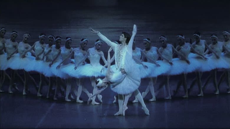 Backdrop from Pyotr Tchaikovsky Ballet 'Swan Lake' 2007 at the Mariinsky Theatre in St Petersburg