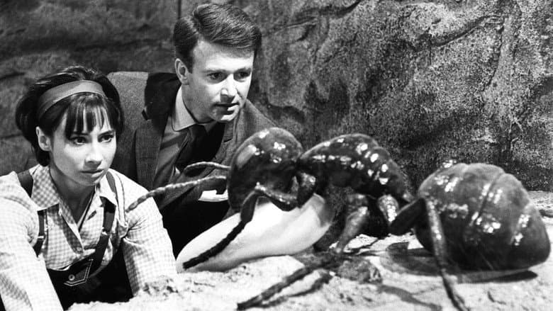 Backdrop from Doctor Who: Planet of Giants