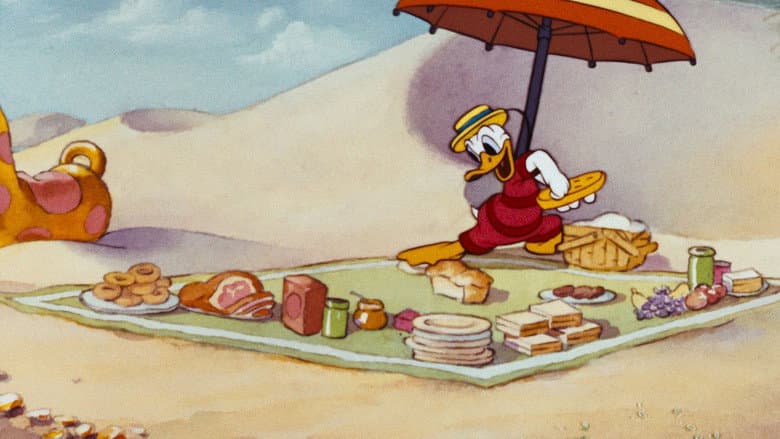 Backdrop from Beach Picnic