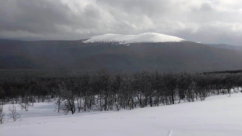 Backdrop from The Dyatlov Pass Incident