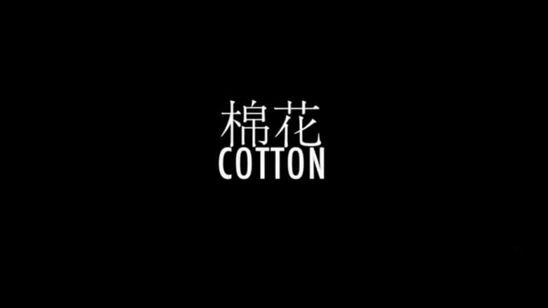 Backdrop from Cotton