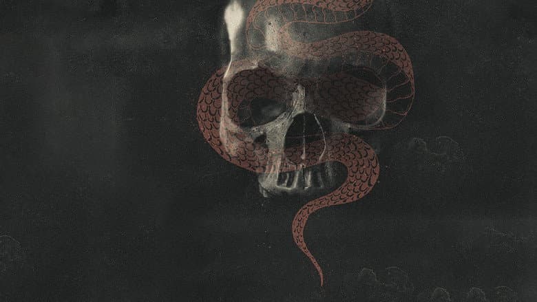 Backdrop from Man-Eating Python