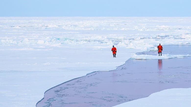 Backdrop from Sailing the North Pole
