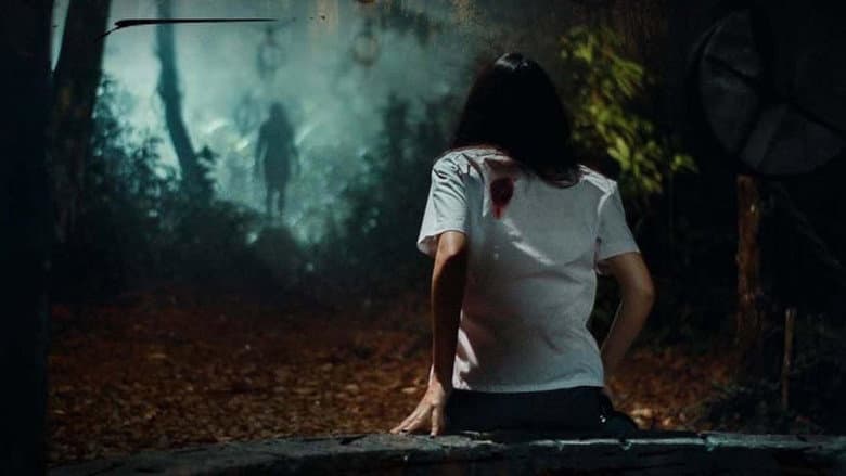 Backdrop from Lost