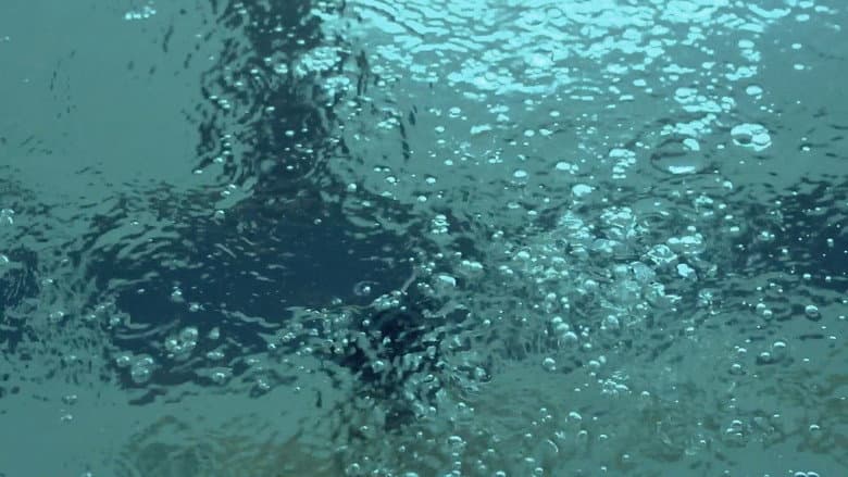 Backdrop from Swimming