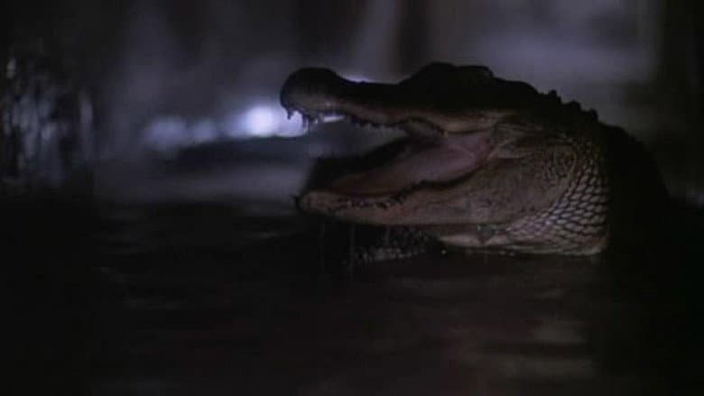 Backdrop from Alligator 2: The Mutation