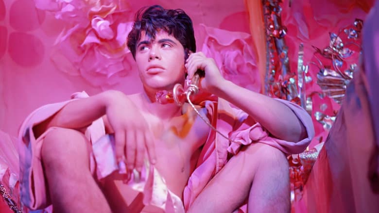 Backdrop from Pink Narcissus