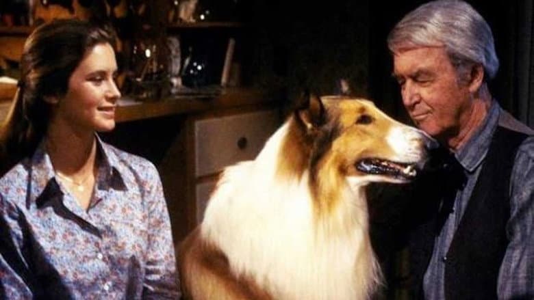 Backdrop from The Magic of Lassie