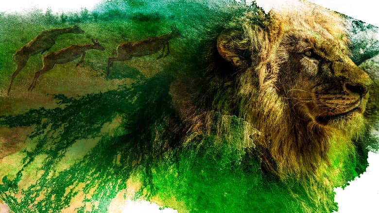 Backdrop from Okavango: River of Dreams - Director's Cut