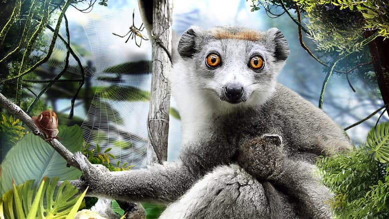 Backdrop from Madagascar 3D