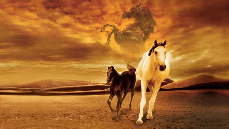 Backdrop from Young Black Stallion