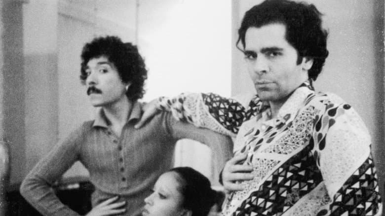 Backdrop from Antonio Lopez 1970: Sex Fashion & Disco