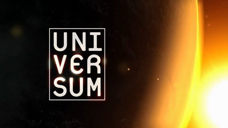 Backdrop from Universum