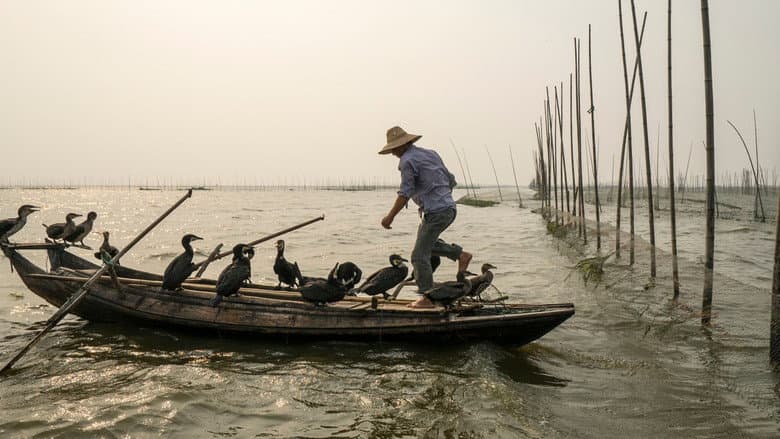 Backdrop from Langs de oevers van de Yangtze