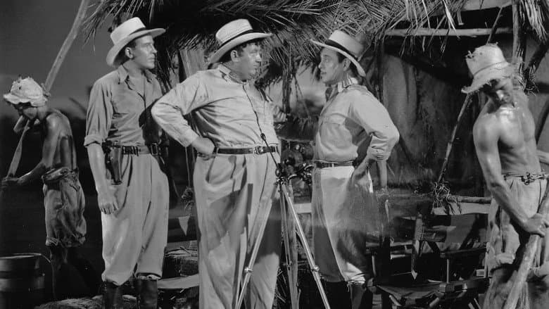 Backdrop from Danger in the Pacific