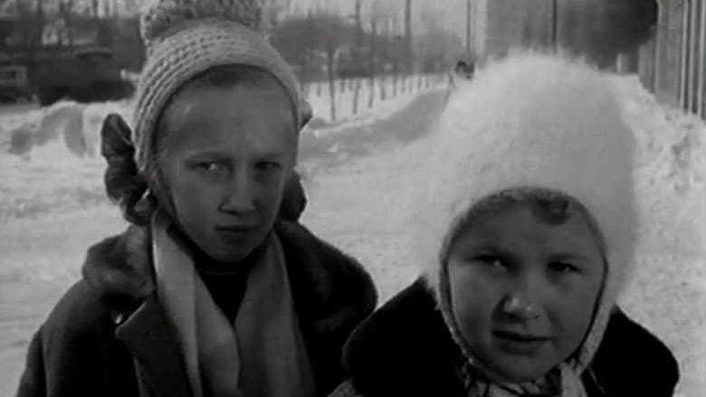 Кадр із фільму «Дай лапу, Друже!»