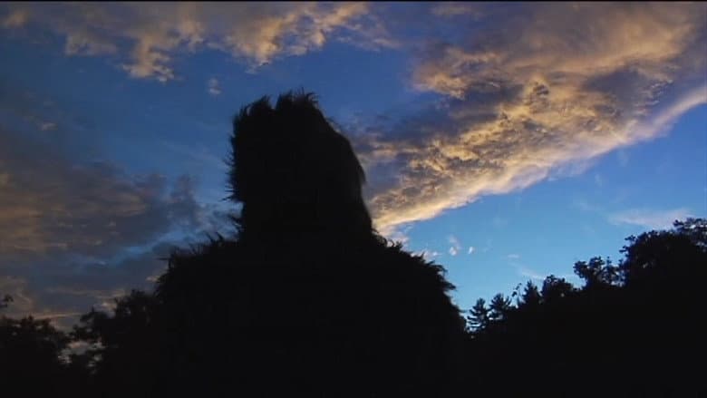 Backdrop from The Bigfoot Diaries