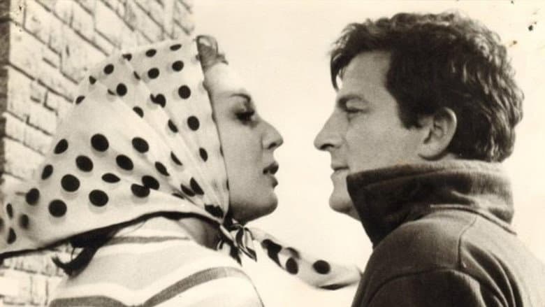Backdrop from Dişi Örümcek
