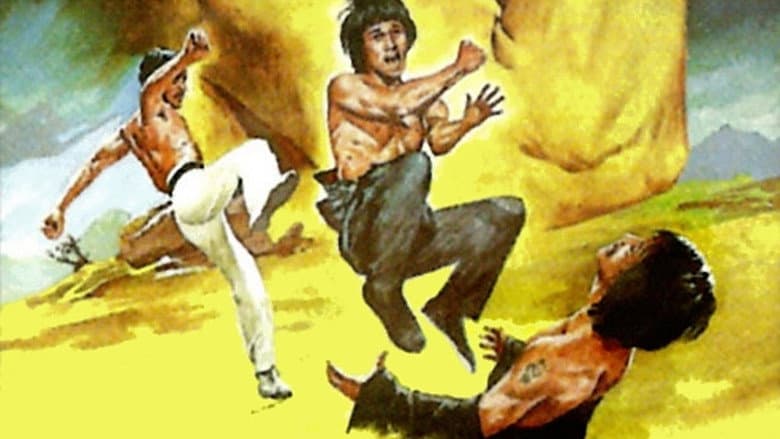 Backdrop from Bruce and Shaolin Kung Fu