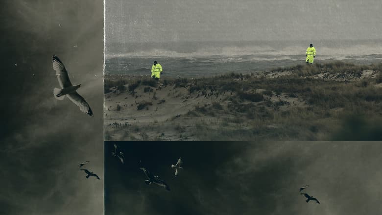 Backdrop from Unraveled: The Long Island Serial Killer