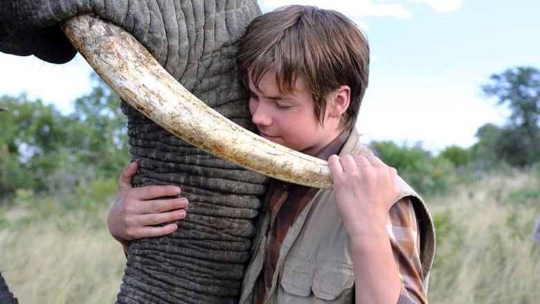 Backdrop from An Elephant's Journey