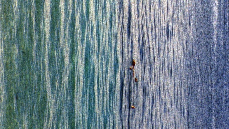 Backdrop from Apple Pie