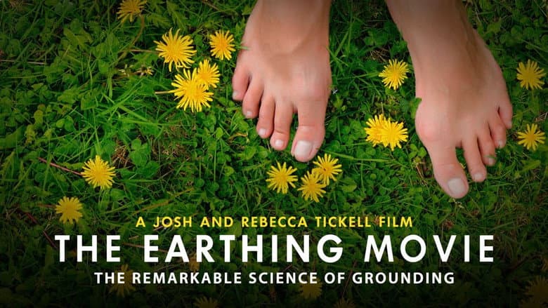 Backdrop from The Earthing Movie