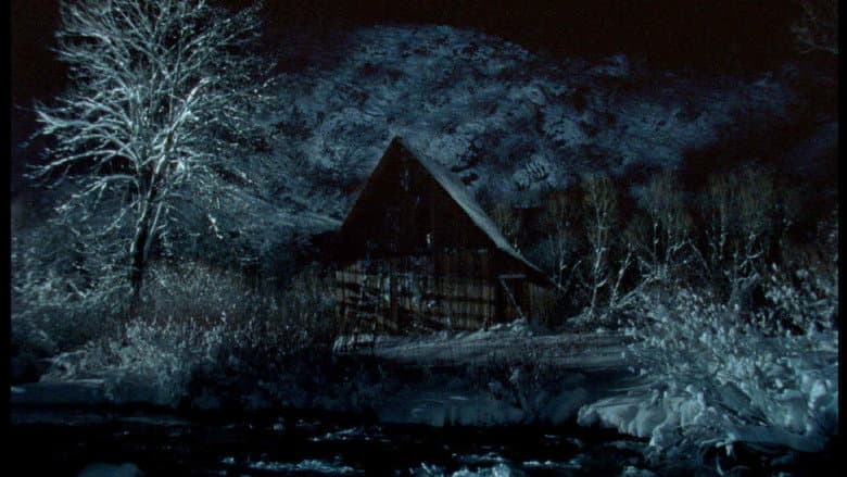 Backdrop from The Tree