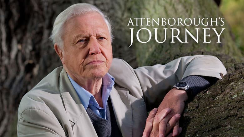 Backdrop from Attenborough's Journey