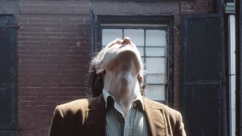 Backdrop from Jonas Mekas in Kodachrome Days