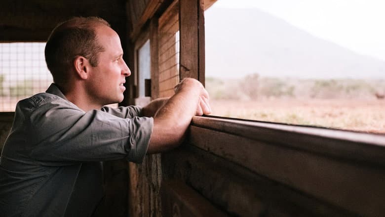 Backdrop from Prince William: A Planet For Us All
