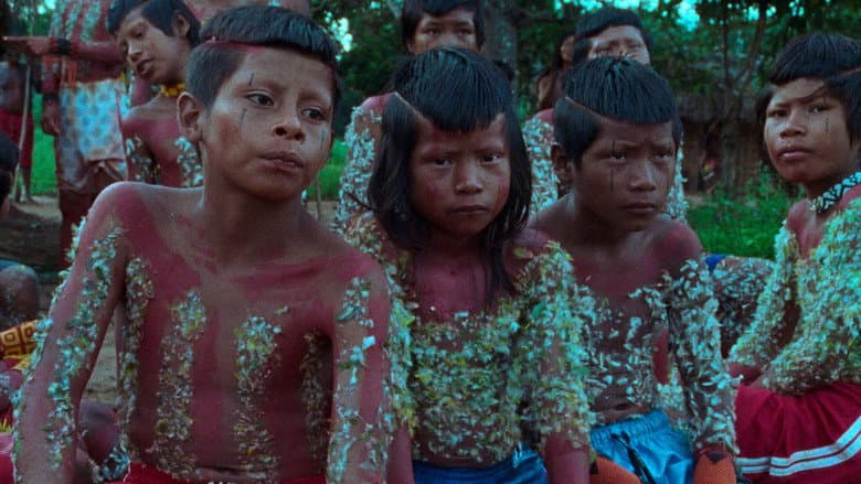 Backdrop from The Buriti Flower