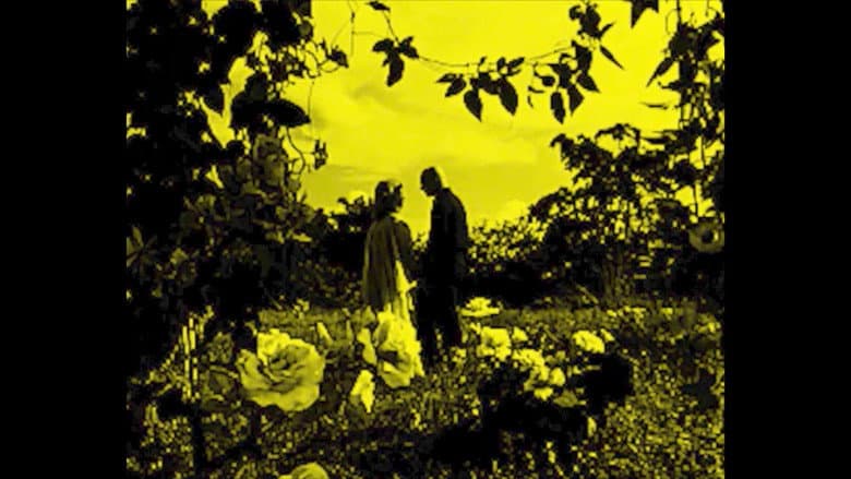 Кадр із фільму «Nitrate: To the Ghosts of the 75 Lost Philippine Silent Films (1912-1933)»