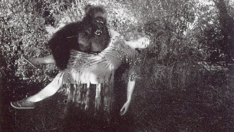 Backdrop from The Devil Bear