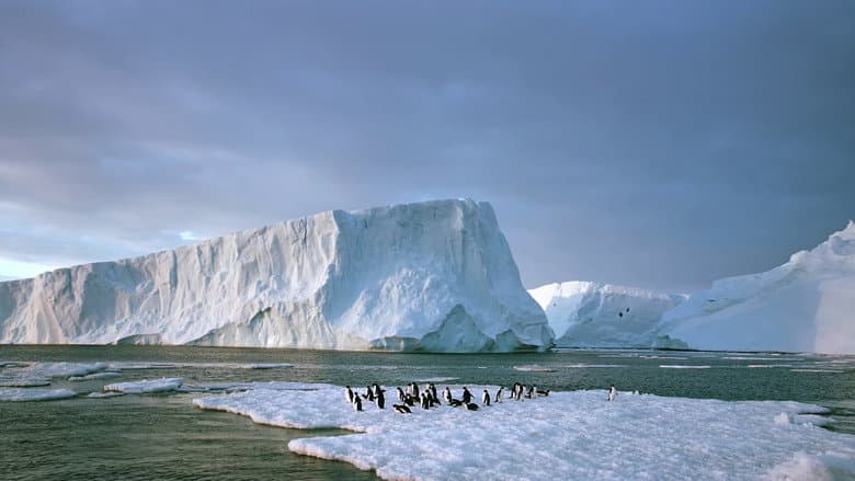 Backdrop from Antarctica: On the Edge