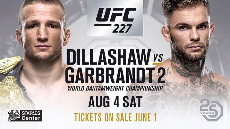 Backdrop from UFC 227: Dillashaw vs. Garbrandt 2